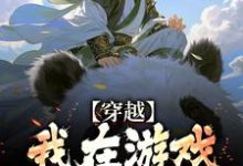 穿越:我在游戏里面当反派这本小说完结了吗?免费查看最新章节-有文学