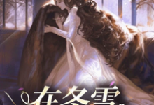 完整版《在冬雪之季》小说免费阅读-有文学