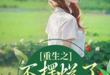 小说《重生之不摆烂了，我要当权臣》完整版在线章节免费阅读-有文学