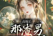 高嫁后,那渣男已被气晕这本小说在哪里可以看?哪里有免费试读章节?-有文学