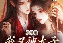 刚出逃,我又被太子绑回来了这本小说在哪里可以看?哪里有免费试读章节?-有文学