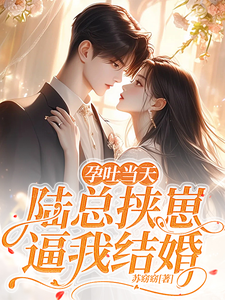 《孕吐当天，陆总挟崽逼我结婚》小说章节在线试读，《孕吐当天，陆总挟崽逼我结婚》最新章节目录