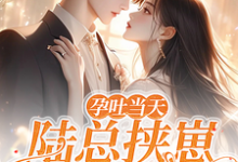 《孕吐当天,陆总挟崽逼我结婚》小说棠微陆瑾时章节章节免费在线阅读-有文学