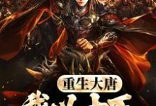 重生大唐，我以十万铁骑镇边疆小说无弹窗阅读的网站推荐-有文学