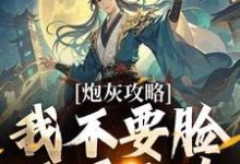 寻找能够免费阅读炮灰攻略：我不要脸，天下无敌小说的平台-有文学