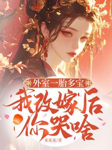完结版《外室一胎多宝，我改嫁后你哭啥》章节阅读