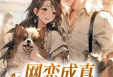 《网恋成真,这小子乐癫了》小说章节在线试读,《网恋成真,这小子乐癫了》最新章节目录-有文学