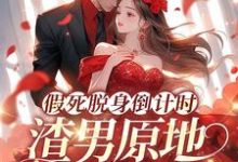 陆焉知宁元白小说《假死脱身倒计时,渣男原地哭成狗》在线阅读-有文学