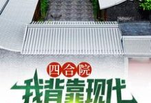 四合院:我背靠现代贴吧网友,躺赢小说最新章节在哪里可以读到?-有文学