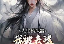 寻找人生模拟器：我被老婆逼成世间极境小说的最新更新章节-有文学