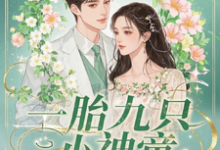 完结版《一胎九只小神童,萧爷的独家宠爱》免费阅读-有文学