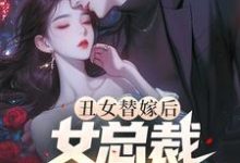 丑女替嫁后,女总裁悔恨万分(顾云林雨菱)完整版在线免费阅读-有文学