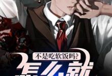 完整版《不是吃软饭吗?怎么就真爱了!》小说免费阅读-有文学