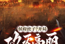 洛轩小说《侯府庶子？开局攻灭高丽自封王！》在线阅读-有文学