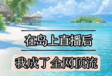 在岛上直播后,我成了全网顶流小说有没有完整的免费版本在线阅读?-有文学