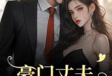 豪门丈夫为何一反常态,频频回家?小说的无弹窗阅读体验,寻找免费阅读网站-有文学