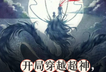 开局穿越超神,系统非说是西游!完整版小说免费阅读,开局穿越超神,系统非说是西游!小说-有文学