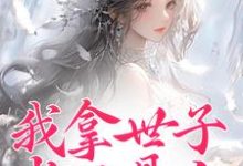 完结版《我拿世子当工具人,他拿我当夫人?》在线免费阅读-有文学