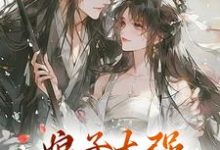 娘子太强，我不想努力了小说全文阅读需要付费吗？寻找免费资源-有文学