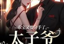哪里能找到乖宝又要分手了,太子爷求贴贴小说的全部章节?-有文学