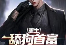 重生:舔狗首富杜绝恋爱脑小说,重生:舔狗首富杜绝恋爱脑在线阅读-有文学