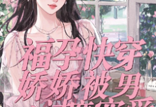 《福孕快穿:娇娇被男主过度宠爱》小说大结局免费试读 林音小说-有文学