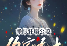 求睁眼狂扇公婆,你家吃土关我屁事小说的全文免费阅读链接-有文学