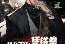 哪里能找到权力之路:凭铁拳,我令黑势力退避小说的全部章节?-有文学