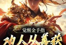 完整版的觉醒金手指：劝人从善获决定武力值小说在哪里可以免费读到？-有文学