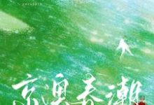 京澳春潮小说免费资源，京澳春潮在线阅读-有文学