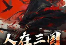 小说《人在三国，一统江山》章节免费阅读-有文学