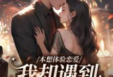 完整版《本想体验恋爱,我却遇到坑爹大佬!》小说免费阅读-有文学