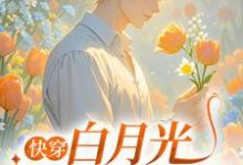 完结版《快穿:白月光爆改黑莲花》在线免费阅读-有文学