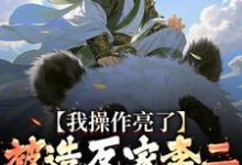 小说《被造反家李二抓住造反?我操作亮了》完整版章节免费阅读-有文学