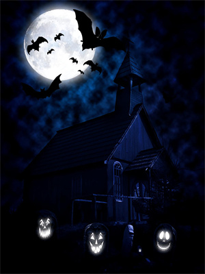 在线寻找追求心中的那抹红小说的无删减版本