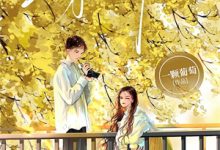 禁欲皇叔心尖宠章节免费在线阅读，落锦书云少渊完结版-有文学