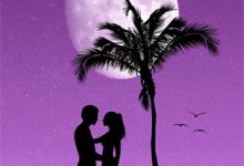 已完结小说《闪婚联姻太子爷后，他夜夜掐腰吻！》章节在线阅读-有文学