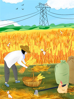 哪里能找到西洲从此无雨季小说的最新更新和免费章节？