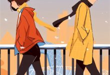 完结版《晚风枕畔星未落》免费阅读-有文学