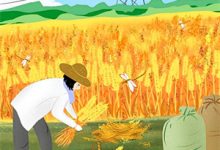 叶芙商玄小说在线章节免费阅读（贵女与罪奴无弹窗无删减）-有文学